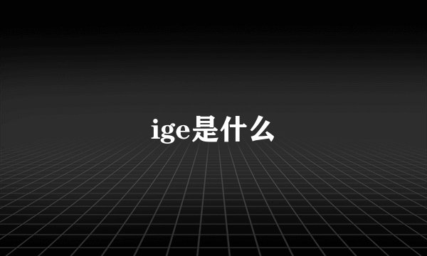 ige是什么