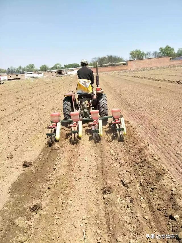 今天全国项城天气查询