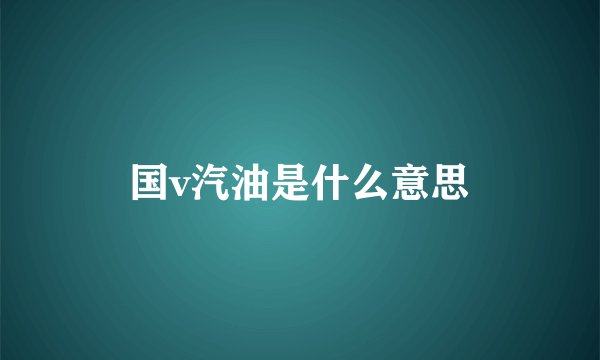 国v汽油是什么意思