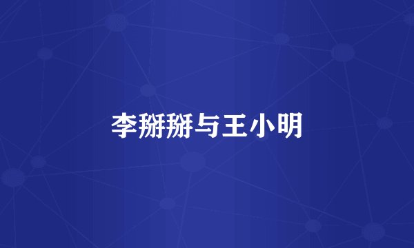 李掰掰与王小明