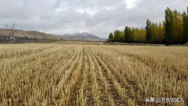 今天全国项城天气查询