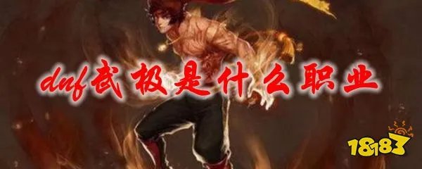 dnf武极是什么职业