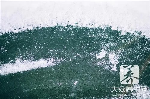 赖氨酸维B12颗粒有哪些功效