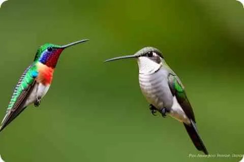 用最组词，最组词大全（5-200个）