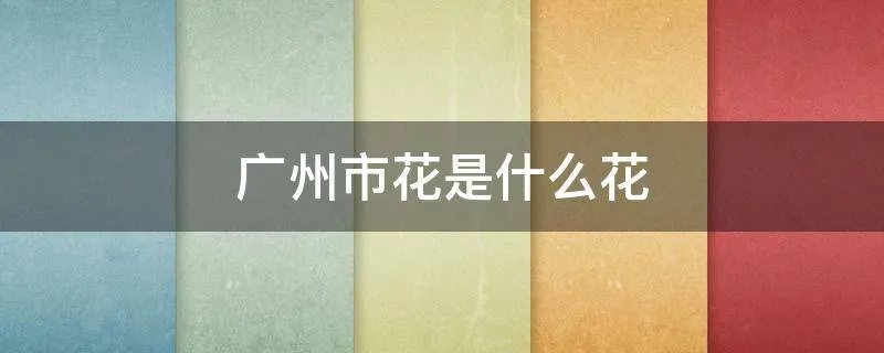 广州市花是什么花