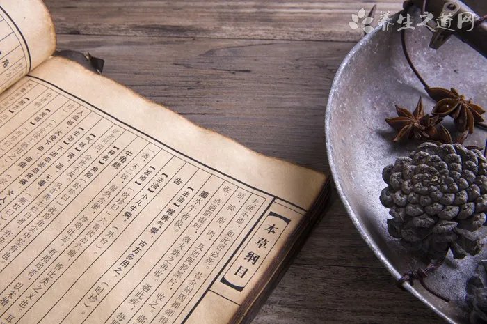 母狗来月经怎么办啊