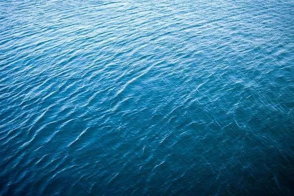 日本核废水会污染太平洋的鱼吗