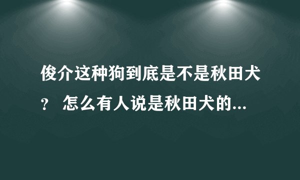 俊介这种狗到底是不是秋田犬？ 怎么有人说是秋田犬的幼犬。 我怎么看不像~