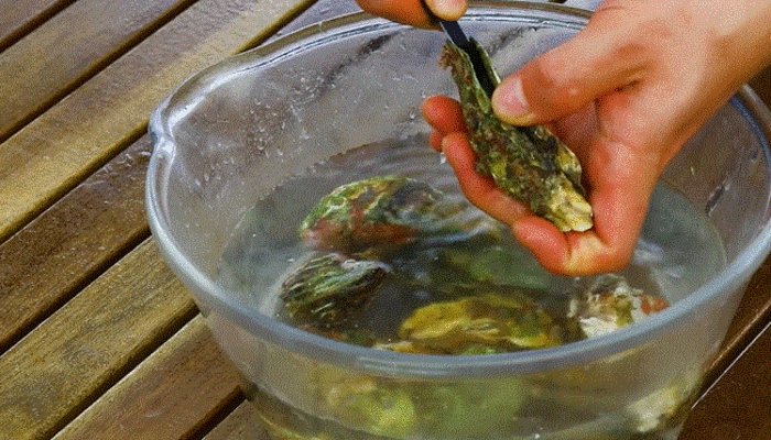 生蚝怎么清洗内脏图解