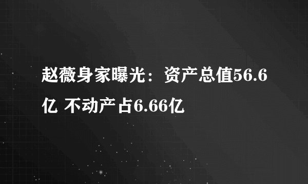 赵薇身家曝光:资产总值56.6亿 不动产占6.66亿