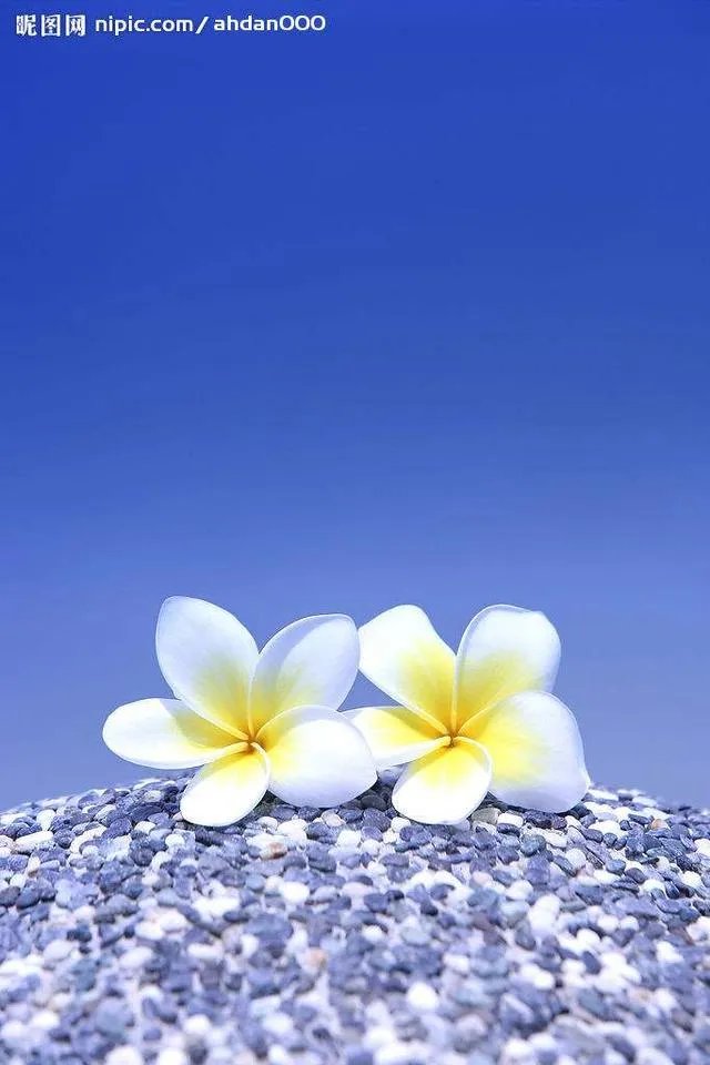 秋风冷雨夜，一夜冷一夜。如何对下联？