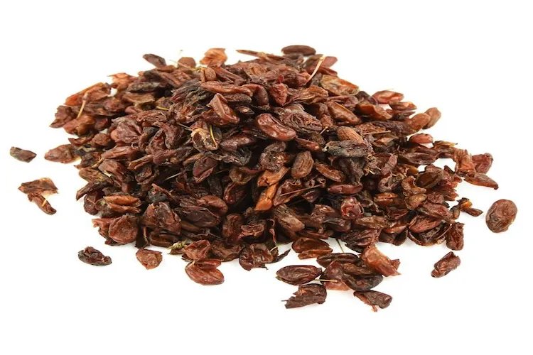 山茱萸图片大全