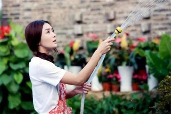 秦岚演过的电视剧大全(全部)