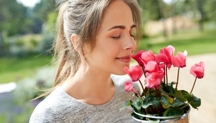 如期而至是什么意思 如期而至是什么成语