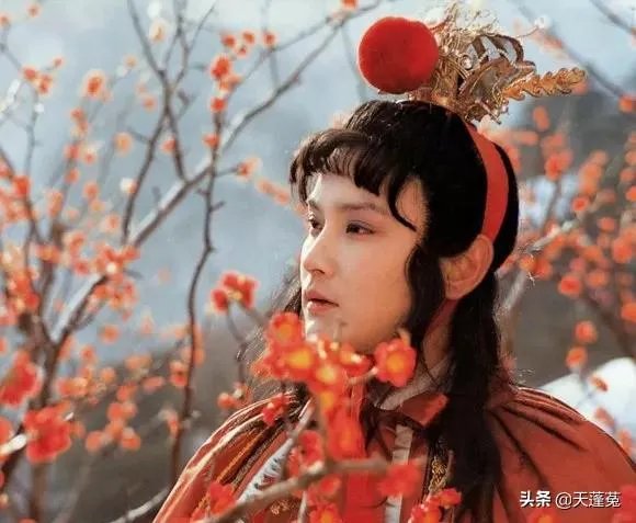 袭人嫁给蒋玉菡的寓意