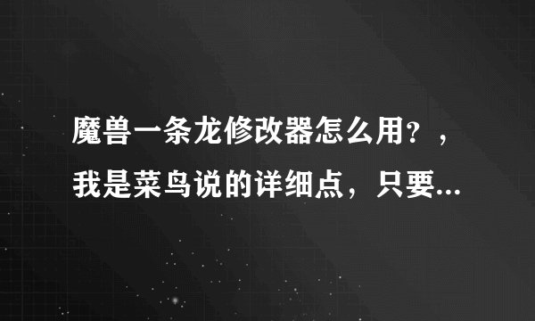 魔兽一条龙修改器怎么用？，我是菜鸟说的详细点，只要教会可以加分