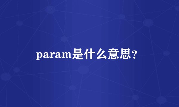 param是什么意思？