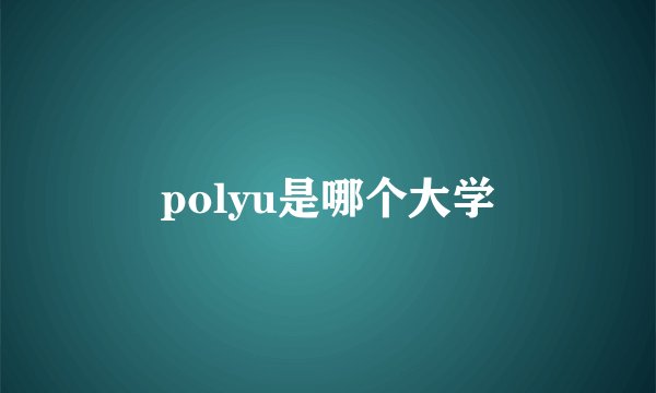 polyu是哪个大学