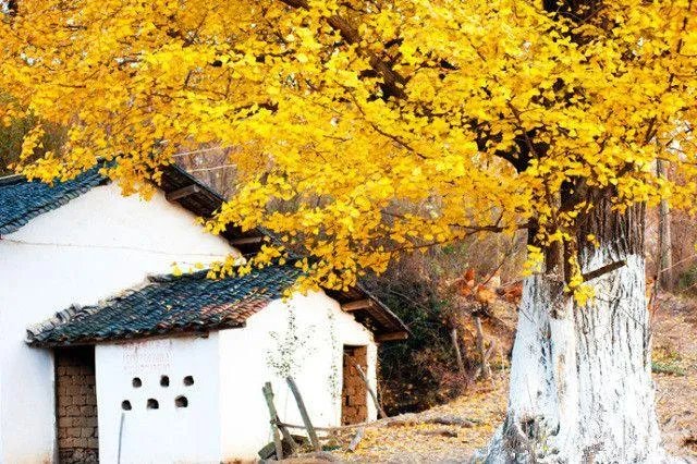 随州有哪些著名的旅游景点？