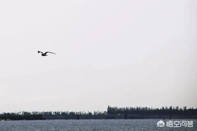 包头这个城市美不美？