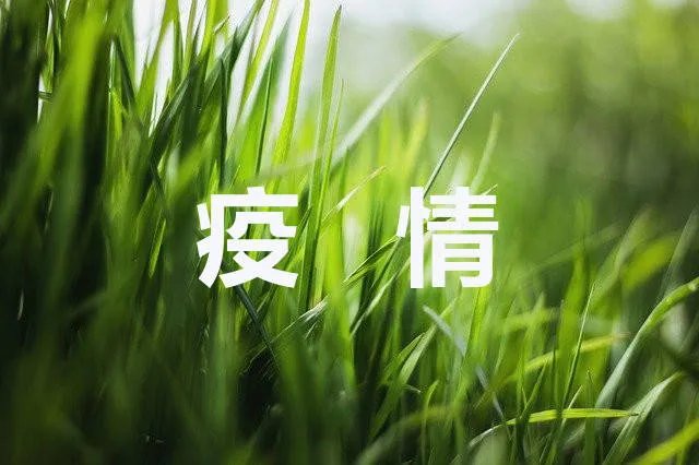 BF.7与BA.5变异株有何区别？感染两种毒株后症状有何不同