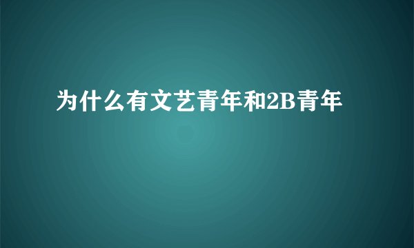为什么有文艺青年和2B青年