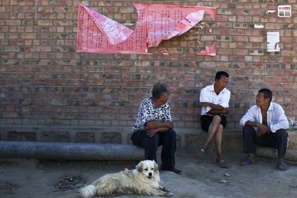 河南周口平坟事件