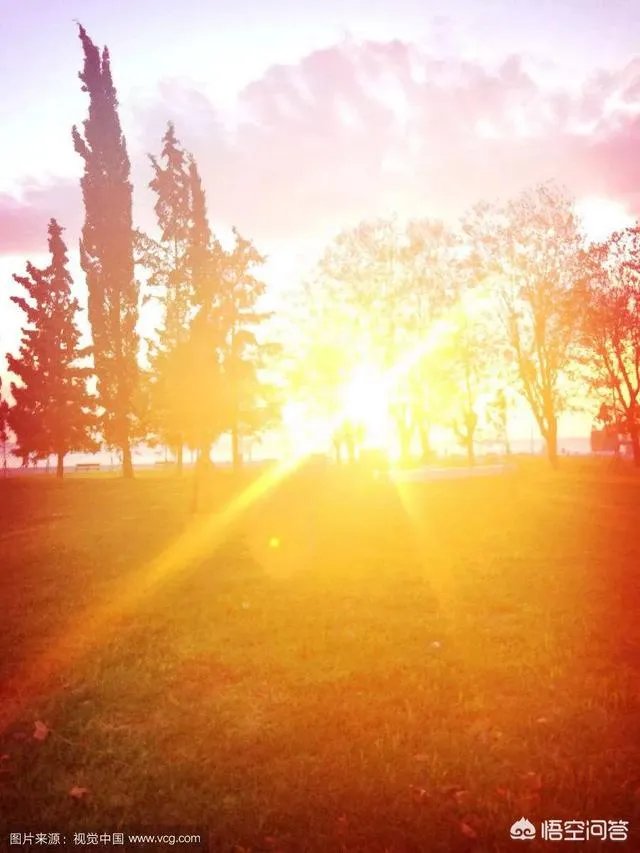 在沈阳，速录这个行业怎么样？