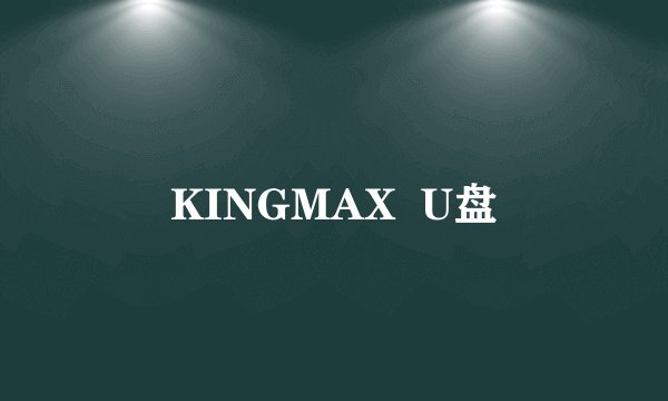 KINGMAX  U盘