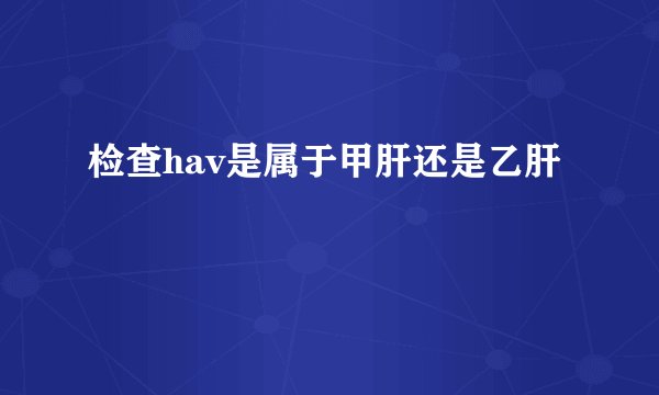 检查hav是属于甲肝还是乙肝