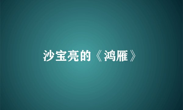 沙宝亮的《鸿雁》