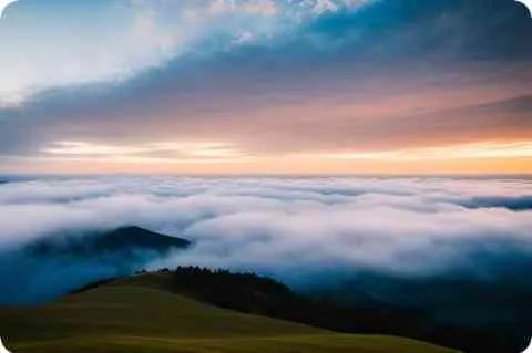 记者是什么意思?