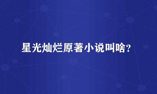 星光灿烂原著小说叫啥？