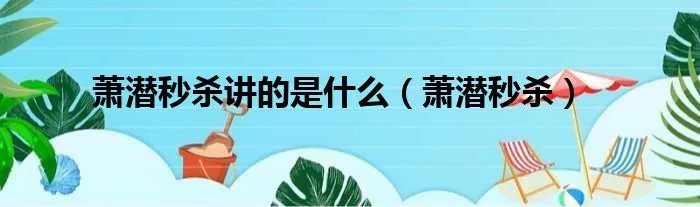 萧潜秒杀讲的是什么（萧潜秒杀）