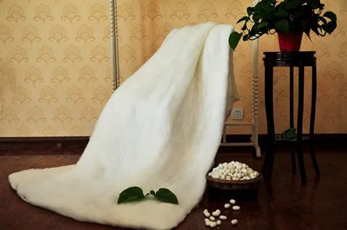 蚕丝被怎么看真假  蚕丝多少钱一斤2017