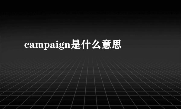 campaign是什么意思
