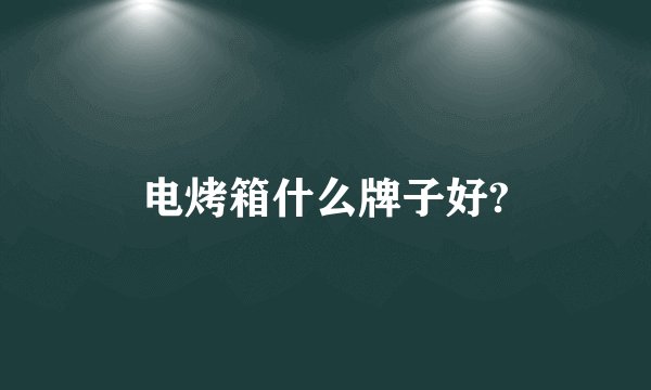 电烤箱什么牌子好?