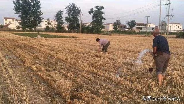 今天全国项城天气查询