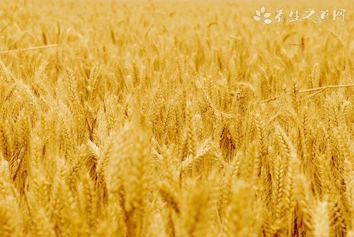 元月是阴历还是阳历，农历是阳历还是阴历？