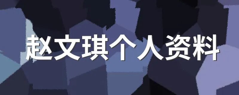 赵文琪个人资料 赵文琪个人简介