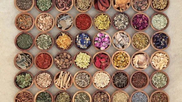 茄子的功效与作用 茄子营养价值有哪些