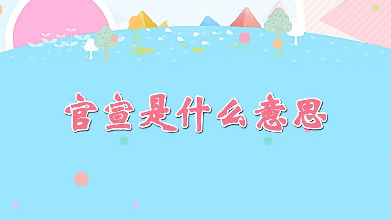 官宣是什么意思