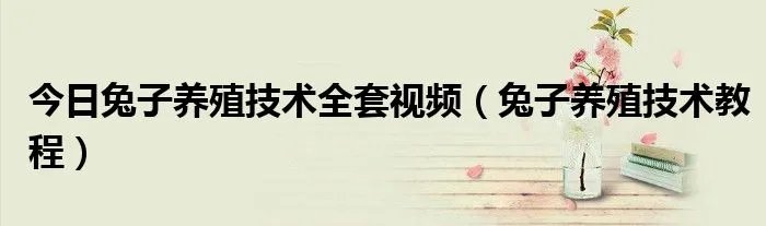 今日兔子养殖技术全套视频（兔子养殖技术教程）
