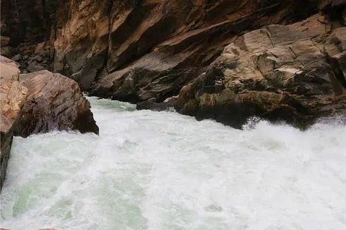 哮组词急！！！！！！