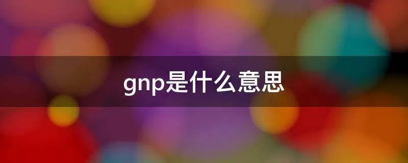 gnp是什么意思