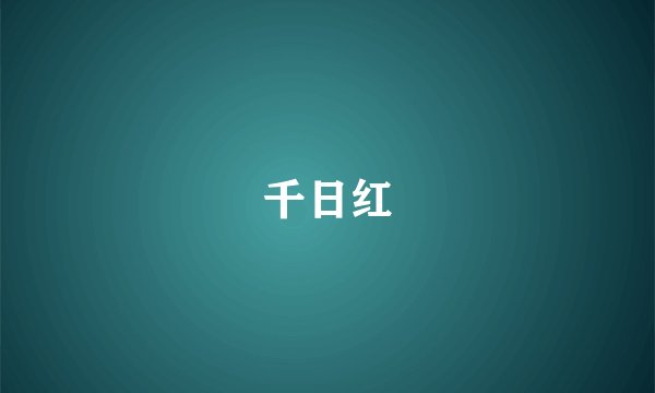 千日红