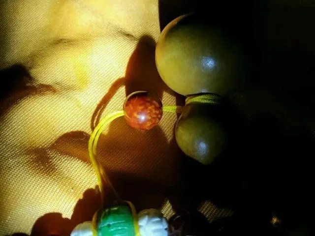 海螺珠是什么？和珍珠有什么区别？