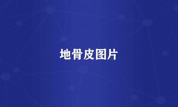 地骨皮图片