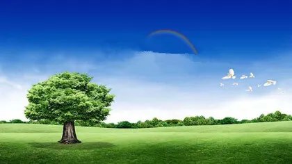 安全模式解除怎么解除