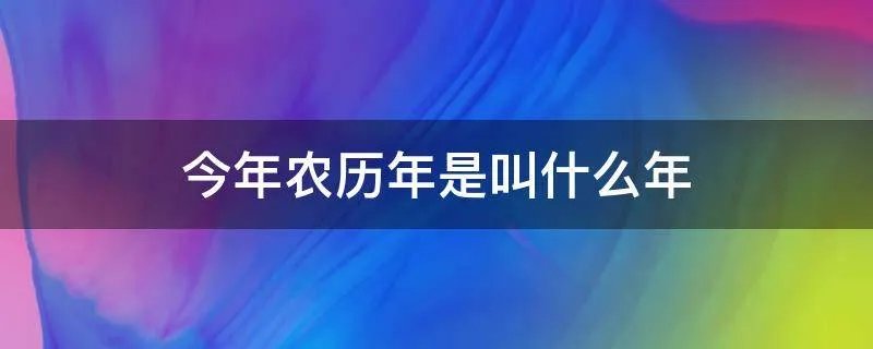 今年农历年是叫什么年